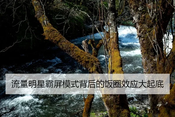 liu-liang-ming-xing-ba-ping-mo-shi-bei-hou-de-fan-quan-xiao-ying-da-qi-di-1-907.jpg